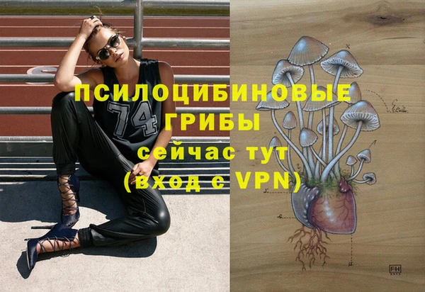 марки lsd Нижневартовск