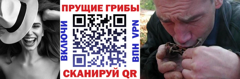 OMG зеркало  Валдай  Галлюциногенные грибы мицелий 
